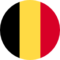 tłumaczenia dokumentów samochodowych z Belgii